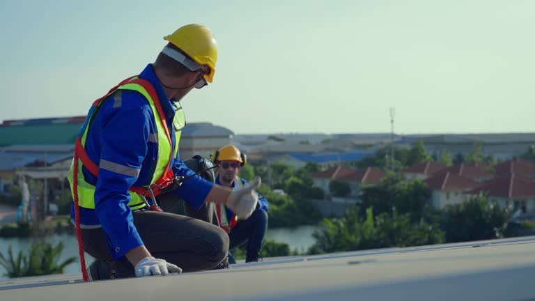 Roof Insulation Installation in Burbank, CA